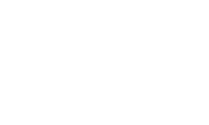 Grange Insurance Logo - White